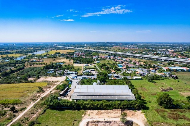 ขายด่วน โรงงานไม้พาเลท และไม้แปรรูป  ตำบลหนองปลาไหล อำเภอเมืองสระบุรี จังหวัดสระบุรี