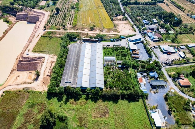 ขายด่วน โรงงานไม้พาเลท และไม้แปรรูป  ตำบลหนองปลาไหล อำเภอเมืองสระบุรี จังหวัดสระบุรี