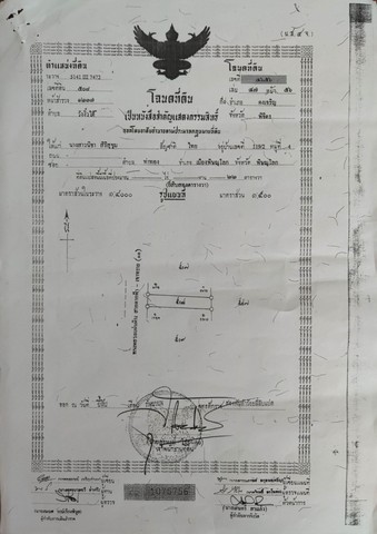 ด่วน ขายอาคารพาณิชย์ 3 คูหา ตรงข้ามปั้ม ปตท. วังงิ้ว ตำบล วังงิ้วใต้ อำเภอ ดงเจริญ จังหวัด พิจิตร