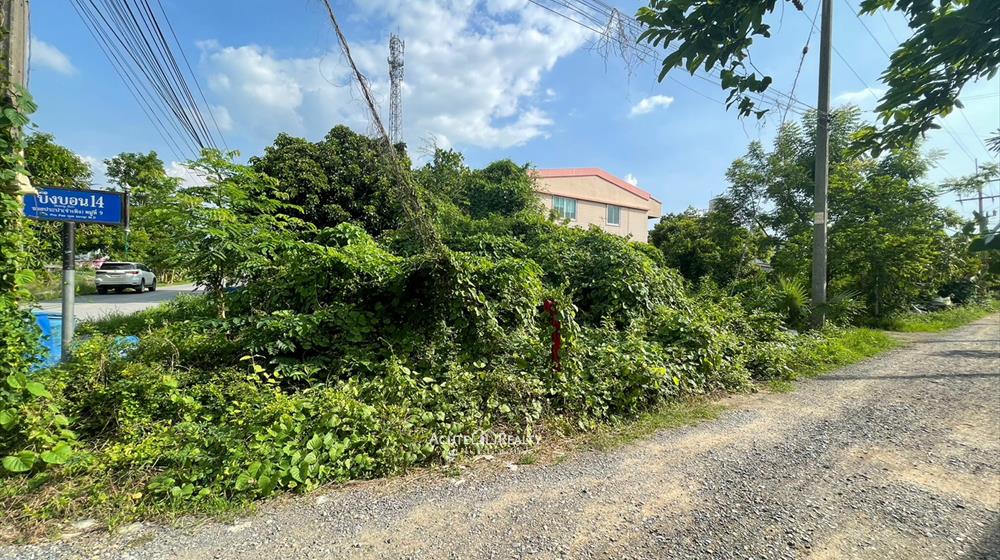ขายที่ดินเปล่า 95 ตร.ว. ซอยบึงบอน 14 รังสิต-คลอง8 ติดถนนเลียบคลอง แปลงหัวมุม ใกล้ถนนรังสิต-นครนายก