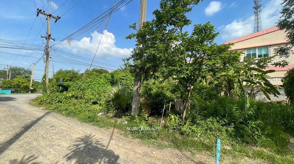 ขายที่ดินเปล่า 95 ตร.ว. ซอยบึงบอน 14 รังสิต-คลอง8 ติดถนนเลียบคลอง แปลงหัวมุม ใกล้ถนนรังสิต-นครนายก