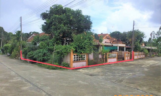 ขายบ้านเดี่ยว  หมู่บ้านธัญทิพย์ กระบี่ (PKK02-09959)