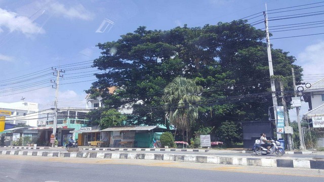ขายที่ดินเปล่า 80 ตร.วา ติดถนนหลักเข้า กทม. ใจกลางอำเภอท่าม่วง จ.กาญจนบุรี  ZB028