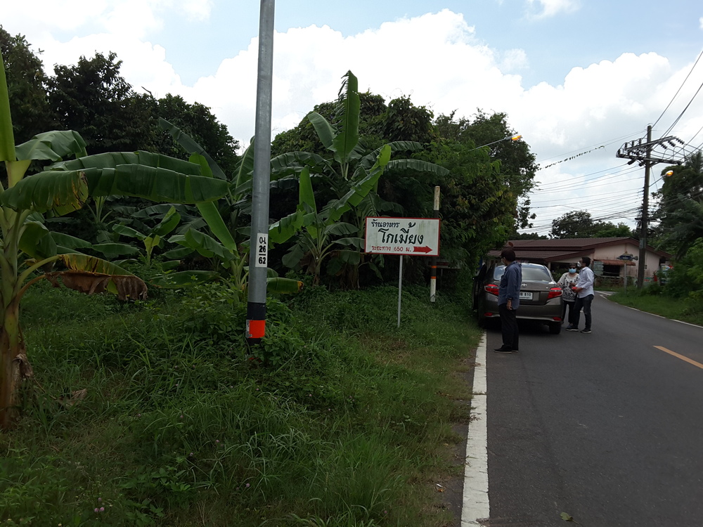 ที่ดินเกาะยอ สงขลา 5 ไร่ 3 งาน 67.6 ตร.วา ติดถนน Koh Yor land