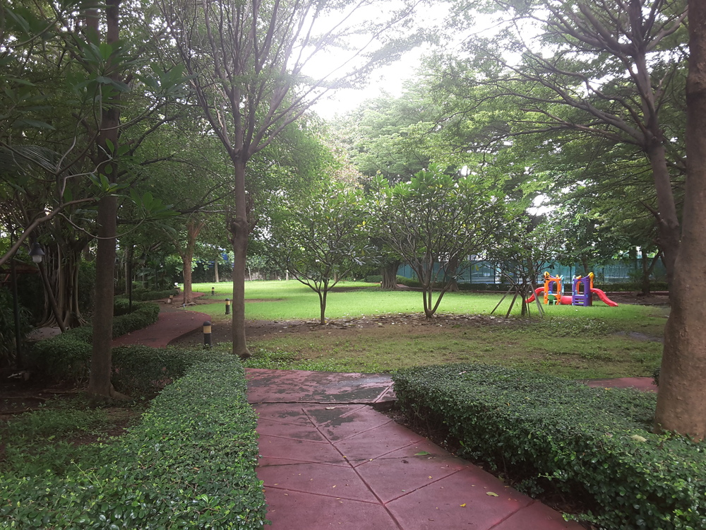 คอนโดเดอะวอเตอร์ฟอร์ด สุขุมวิท 50 (The Waterford Sukhumvit 50) ห้องสตูดิโอ BTS อ่อนนุช