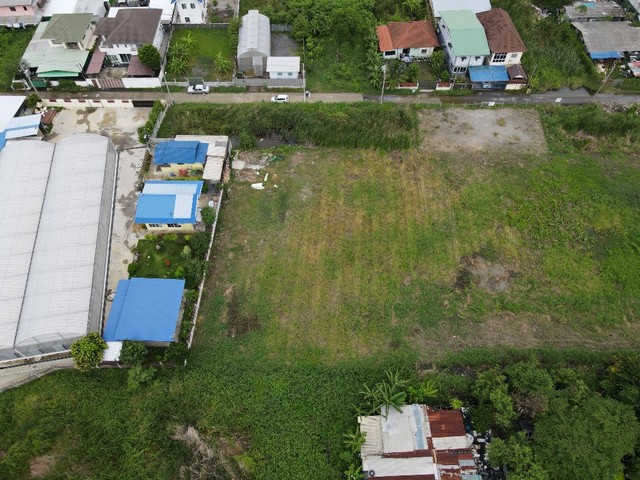 ขายที่ดิน ศรีนครินทร์45 เหมาะกับสร้างบ้าน โฮมออฟฟิศ 83 ตรว. เข้าออกได้หลายทาง อ่อนนุช66, อ่อนนุช70/1, พัฒนาการ96 ใกล้ซีคอนสแควร์ 