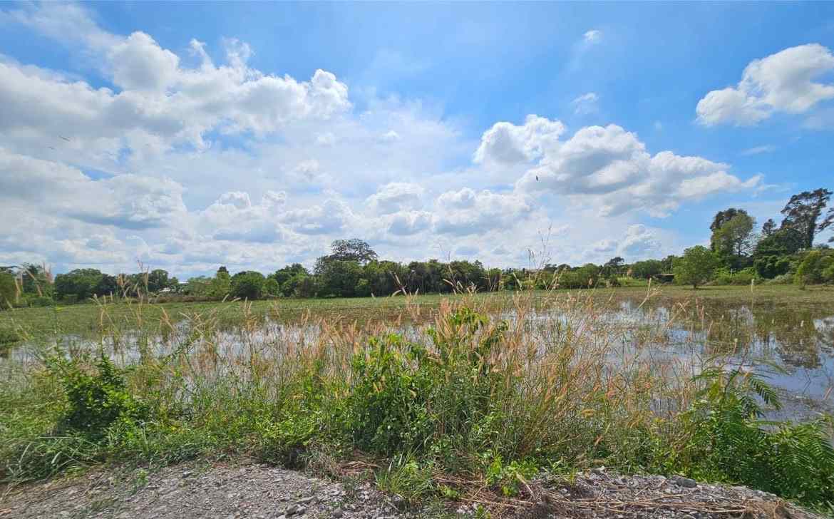 ขายที่ดินเปล่า 21.5 ไร่ ท่าตูม ใกล้นิคม 304 โฉนดครุฑแดง ทำเลดี เดินทางสะดวก (เจ้าของขายเอง)