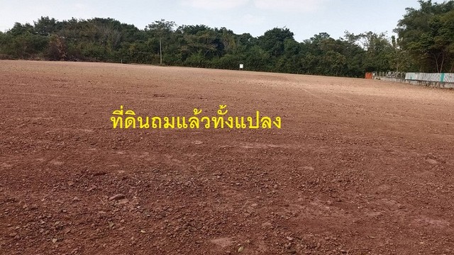 ด่วน โฉนดครุฑแดง ถมเต็มแปลง 3 ไร่ 3 งาน 40 ตารางวา ห่างถนนหลักหกเลน 211 แค่ 150 เมตร ต.พระธาตุบังพวน อำเภอเมืองหนองคาย