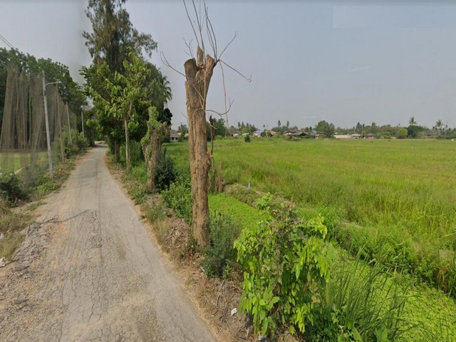 PO80 ขายที่ดิน 40 ไร่ โพธาราม ราชบุรี ใกล้แยกบางแพ ตำบลวัดแก้ว อำเภอบางแพ จังหวัด ราชบุรี
