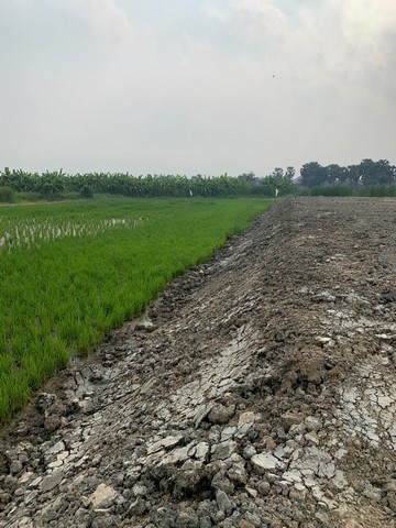 ขายด่วน ที่ดินถมเเล้วติดถนนใหญ่ อำเภอบ้านแหลม  จังหวัดเพชรบุรี