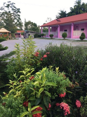 ขายด่วน รีสอร์ท เนื้อที่ 2 ไร่ ตั้งอยู่ ต.แสงอรุณ อ.ทับสะแก จ.ประจวบคีรีขันธ์