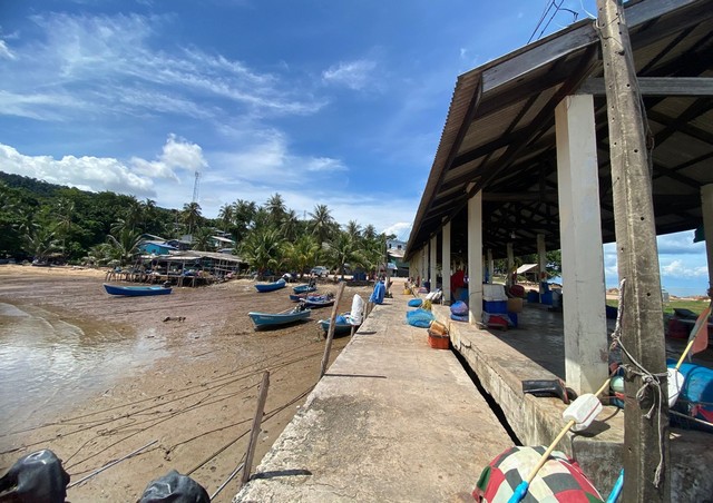 ????????ที่ดินเปล่า หาดศาลเจ้า, จ.ตราด (4-2-2 ไร่) ที่ติดหาดสวยมาก มีท่าเรือ Speed Boat อยู่ติดแปลงนักลงทุนไม่ควรพลาด????????