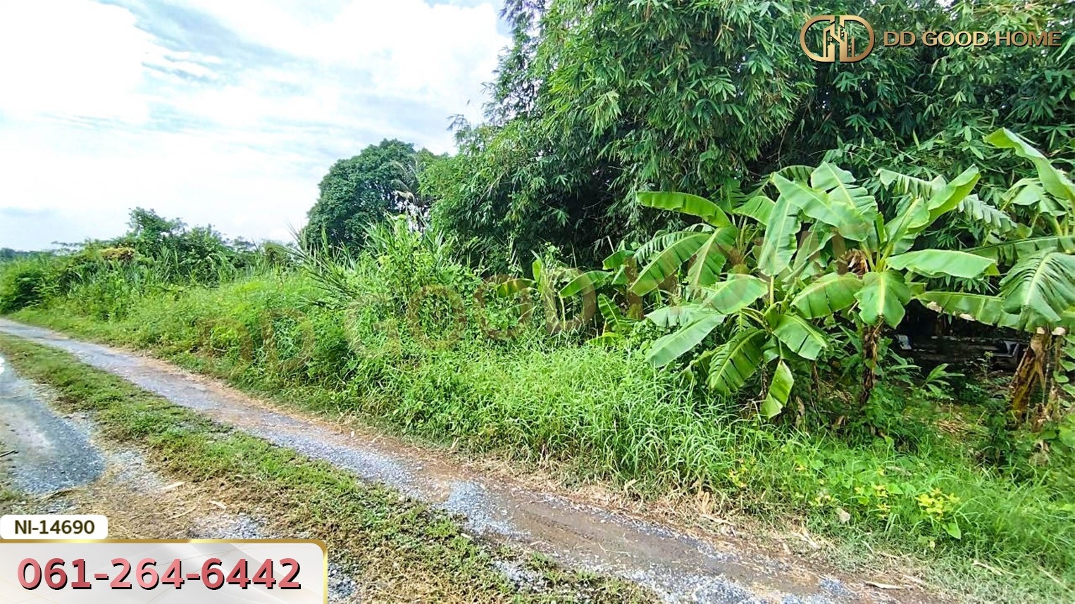 ที่ดินขนาด 275 ตร.ว. พุทธมณฑลสาย 3 ถ.เลียบคลองทวีวัฒนา กรุงเทพฯ
