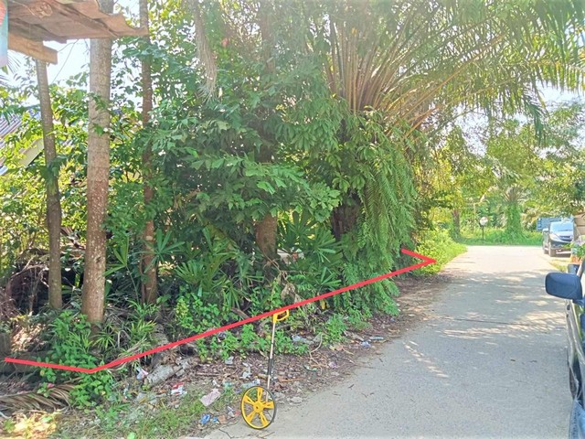 ขายบ้านเดี่ยว อำเภอเมืองกระบี่ กระบี่ (PKK02-15611)