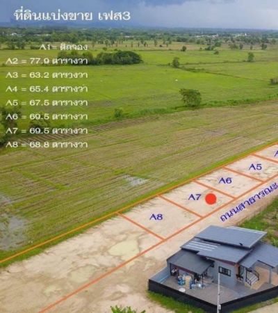ที่ดินสวยแบ่งขาย ฉโนดพร้อมโอน ถนนกว้าง น้ำประปา ไฟฟ้าพร้อม สร้างบ้านได้เลย 