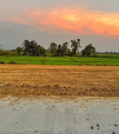 ที่ดินสวยแบ่งขาย ฉโนดพร้อมโอน ถนนกว้าง น้ำประปา ไฟฟ้าพร้อม สร้างบ้านได้เลย 