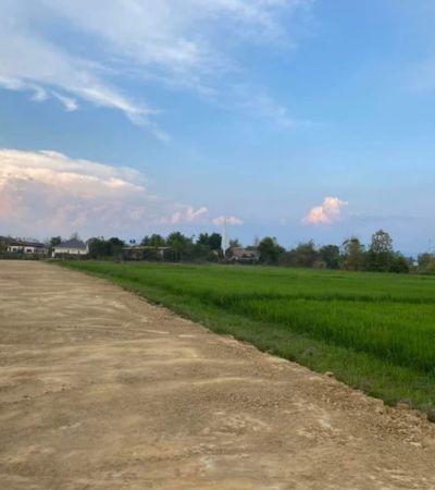 ที่ดินสวยแบ่งขาย ฉโนดพร้อมโอน ถนนกว้าง น้ำประปา ไฟฟ้าพร้อม สร้างบ้านได้เลย 