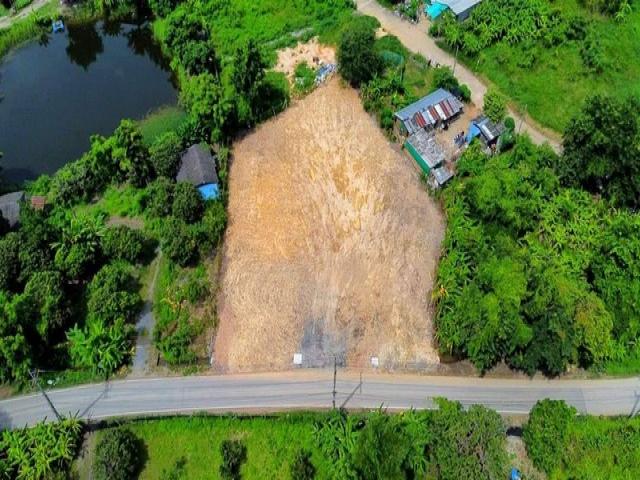 ขายที่ดินแบ่งเริ่ม 53ว.399,000บ. ฟรีโอน สาธารณูปโภคครบ ใกล้จังเกิ้ล คาเฟ่ บ้านถวาย ต.ขุนคง อ.หางดง เชียงใหม่