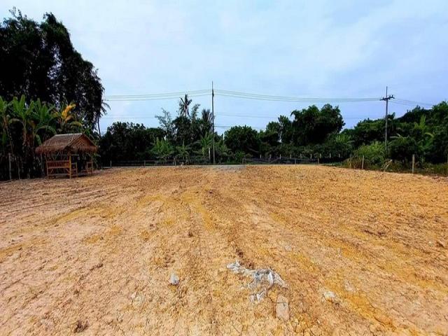 ขายที่ดินแบ่งเริ่ม 53ว.399,000บ. ฟรีโอน สาธารณูปโภคครบ ใกล้จังเกิ้ล คาเฟ่ บ้านถวาย ต.ขุนคง อ.หางดง เชียงใหม่
