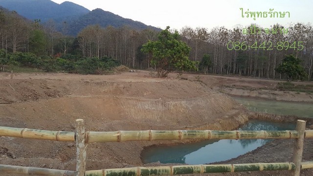 ขายที่ดินด่วน เนื้อที่ 17.5 ไร่ ทำเลดี พร้อมสิ่งปลูกสร้าง อำเภอปัว จังหวัดน่าน
