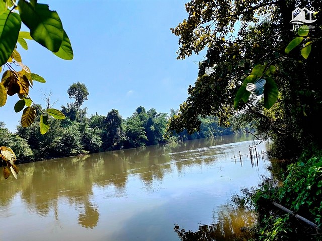 ขายที่ดินติดแม่น้ำแควน้อย เมืองกาญจนบุรี 3 ไร่ ด้านหน้าติดถนนลาดยาง บรรยากาศดี เหมาะสร้างบ้าน ทำการเกษตร ทำรีสอร์ท หรือซื้อเก็บไว้