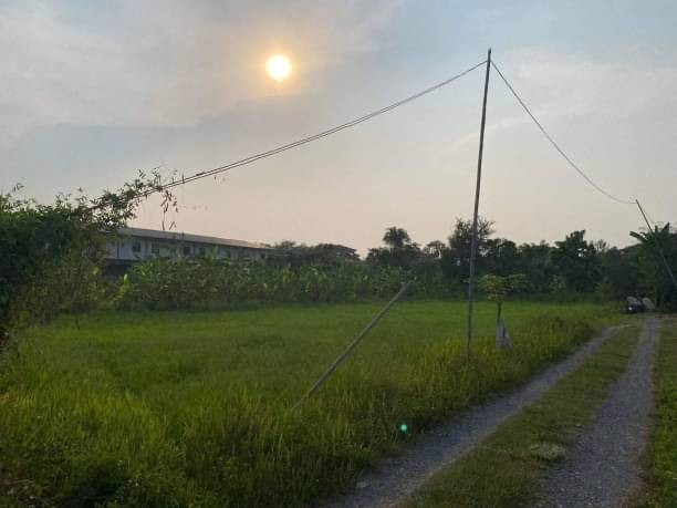 ขายที่ดินยกแปลง 3.5 ล้าน เนื้อที่ 1 ไร่ 52 ตรว. #โซนสันกำแพง #เดินทางสะดวกออกได้ทั้งถนนสันกำแพงสายเก่าและถนนสันกำแพงสายใหม่