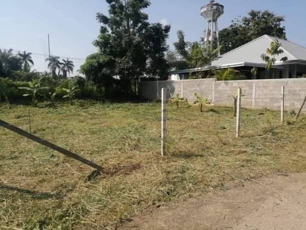 โซนดอยสะเก็ด ขายที่ดิน 620,000 บาท เนื้อที่ 85 ตรว. #ป่าป้อง ทำเลดี ใกล้อำเภอ วัดพระธาตุ ตลาด แหล่งชุมชน