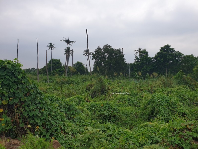MH0012 ขายที่ ติดถนนชัยพฤกษ์ ขนาด 37 ไร่ คลองพระอุดม อำเภอปากเกร็ด นนทบุรี