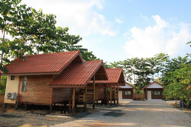 ขายรีสอร์ท 2 ไร่ 54 ตร.วา  ทำเลทอง  มีใบอนุญาติ พร้อมดำเนินกิจการต่อ   หลังปตท. หล่มเก่า  เพชรบูรณ์   ZTK011  