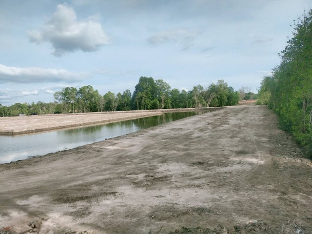 ที่ดินติดแม่น้ำประแสร์ 36 ไร่ถมแล้วบางส่วน บรรยากาศดี 