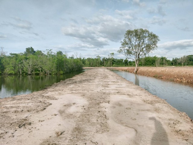 ที่ดินติดแม่น้ำประแสร์ 36 ไร่ถมแล้วบางส่วน บรรยากาศดี 