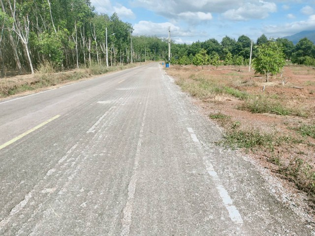 ขายสวนทุเรียนพร้อมบ้านสภาพใหม่ติดถนนลาดยาง วิวเขาเขตเขาชะเมา จ.ระยอง