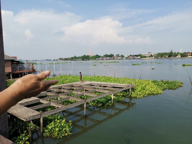 ขายที่ดินติดแม่น้ำเจ้าพระยา2ฝั่ง ใกล้ วัดโบสถ์​ จ.ปทุมธานี ขนาด 3ไร่ 1 งาน 70 ตร.วา
