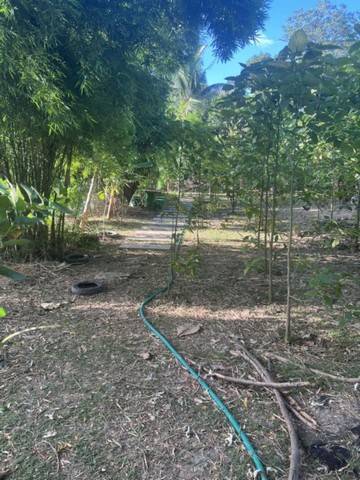 TD572  ขายที่ดินแปลงงาม :            สามพราน นครปฐม