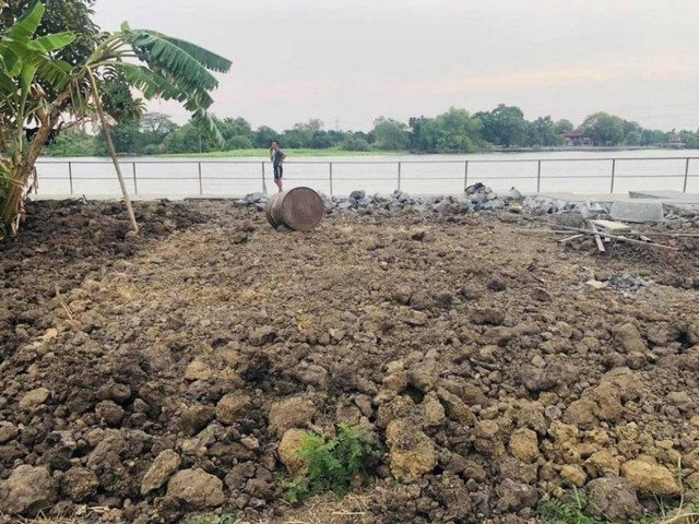 TD561  ขายที่ดินแปลงงาม :           สามโคก ปทุมธานี