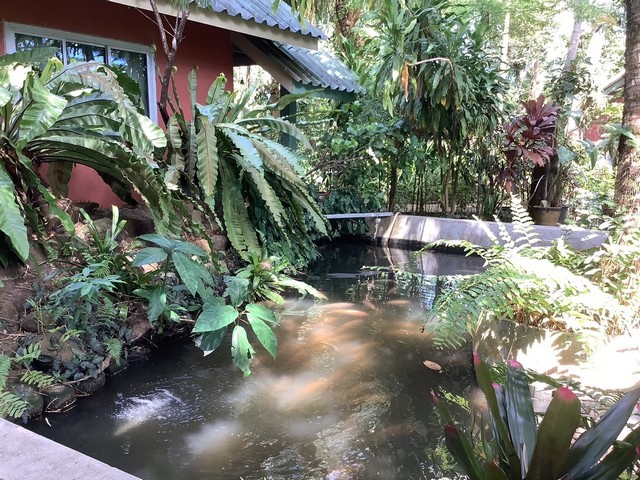 ขาบบ้านพร้อมกิจการไม้รูดรีสอร์ท จ.ตราด ที่่สวยติดทะเล วิวดี (private resort ) 2-3-53 ไร่ 