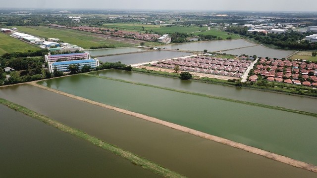 ???????? ที่ดินเปล่า 201-3-98.7 ไร่ (80,898.70 ตร.ว.) จ.ฉะเชิงเทรา (ห่างจากเส้นเขตแบ่งจังหวัดกรุงเทพ 2 กม.)  065-586-9872 คุณโดม รัชดา ที่ดินโครตสวยมองยังไงก็ไม่ควรพลาด