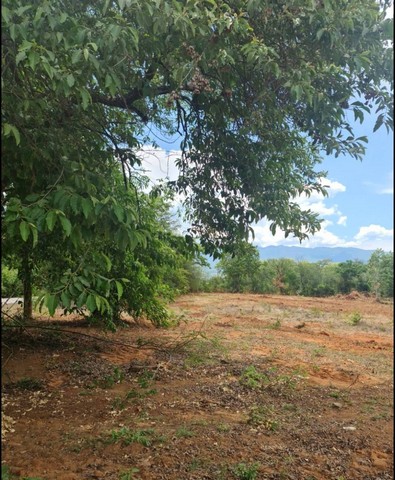  ขายที่ดินติดถนนเส้นเชียงใหม่-ฮอด อำเภอจอมทอง จังหวัดเชียงใหม่ ขนาด 3 ไร่ 6 ตารางวา