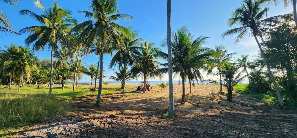 พิเศษที่ดินวิวสวยติดทะเลหาดละแม ใกล้โครงการท่าเรือชุมพร 3.5 ล้าน