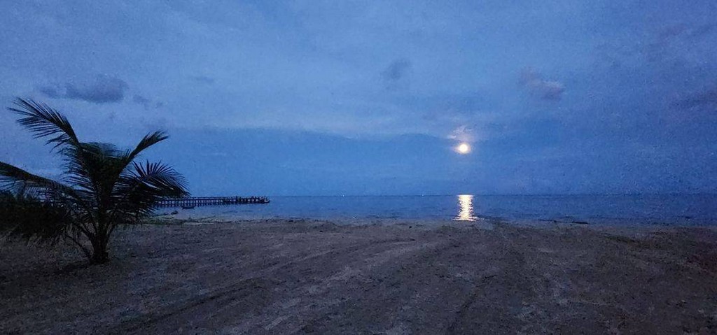 ขายที่ดินหาดละเเมชุมพร วิวสวยทำเลสุดปังติดท่าเรือ ใกล้จุดดำน้ำ