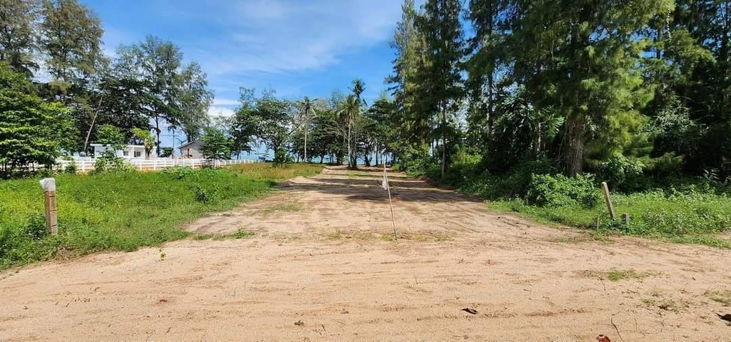 ขายที่ดินวิวสวยหน้าติดทะเลราคาดีเดินทางสะดวก หาดละเเมชุมพร 