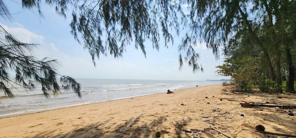 ขายที่ดินวิวสวยหน้าติดทะเลราคาดีเดินทางสะดวก หาดละเเมชุมพร 
