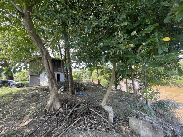 ที่ดินติดแม่น้ำปิง 1 ไร่ พร้อมที่งอก 200 ตร.ว. ให้เช่าระยะยาวใครมีโปรเจคทักมาค่ะ
