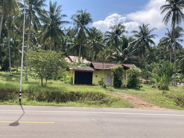 ฮวงจุ้ยดีรับปีมะโรง ที่ดินใกล้หาดสะพลีติดต่อหาดทุ่งวัวแล่น ต.สะพลี อ.ปะทิว จ.ชุมพร ราคาคุยได้ สนใจโทรตรง 096-882-1857