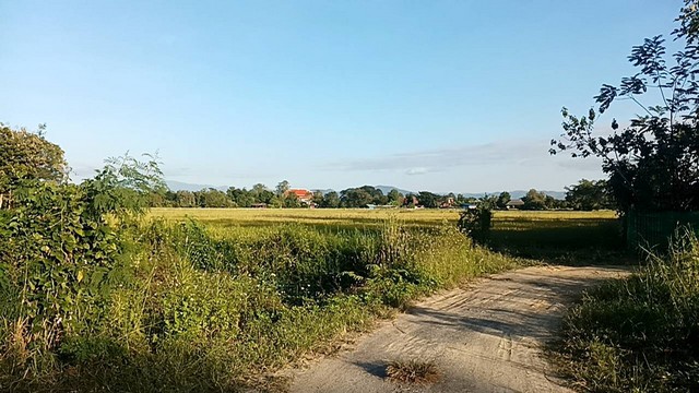 ที่ดิน 3 งานกว่า พร้อมบ้านขายถูกเพียง 1500000 บาทเท่านั้น 