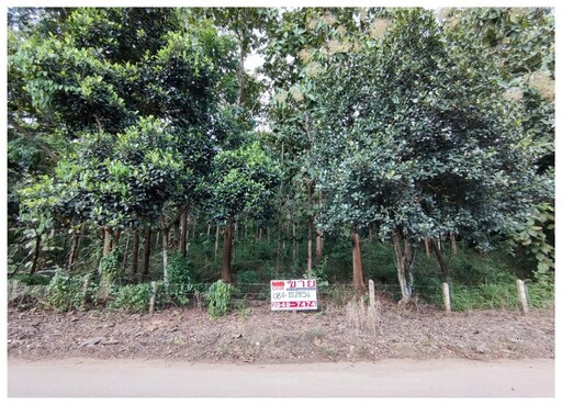 ขายที่ดิน 9 ไร่ 1 งาน 98 ตรว พร้อมสวนสักทองอายุ 20 กว่าปี ติดถนนดำ ใกล้ดอยสะโง้ จ.เชียงราย   