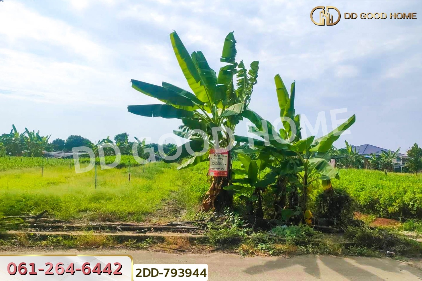 2DD-793944 ที่ดินบางใหญ่ 71 ตร.ว. ซ.หมู่บ้านศรีสุภาลัย 1 นนทบุรี ใกล้วัดต้นเชือก