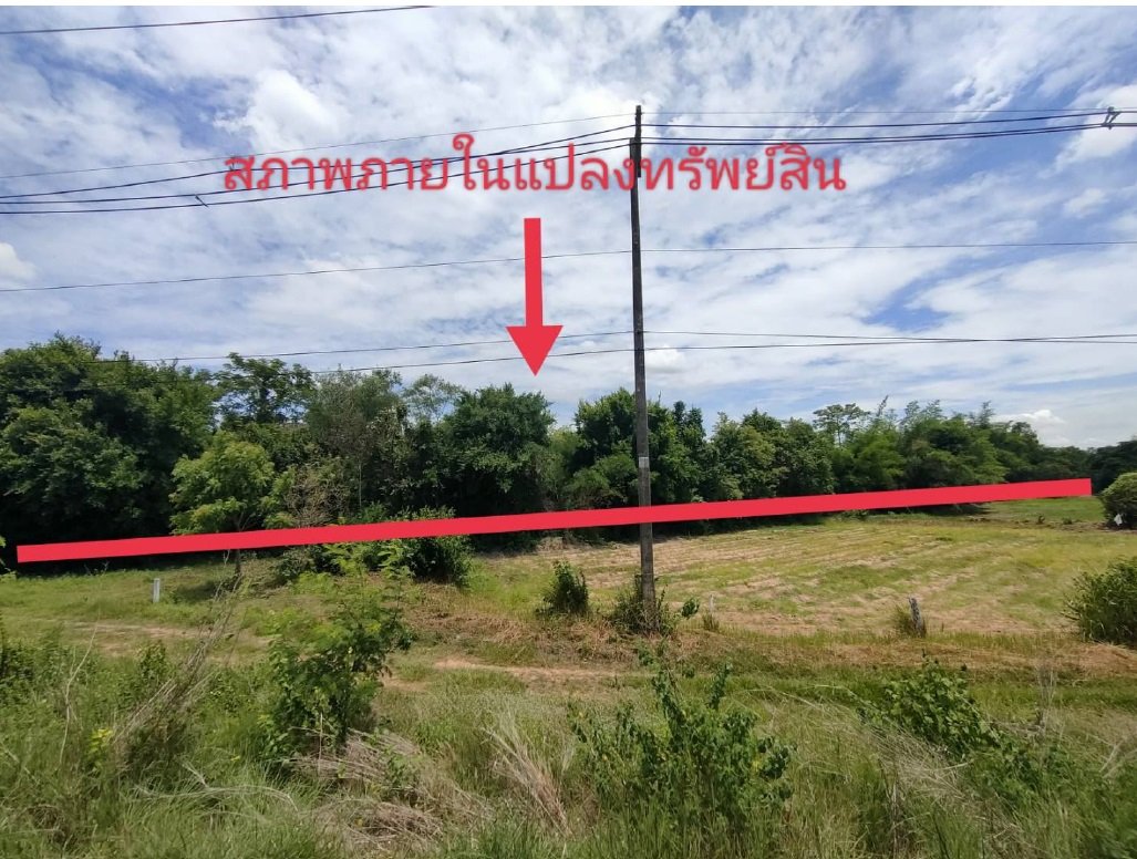 ขาย ที่ดิน ที่ดินเปล่า บ้านชำแฮด  อ.บรบือ จ.มหาสารคาม PSC00580