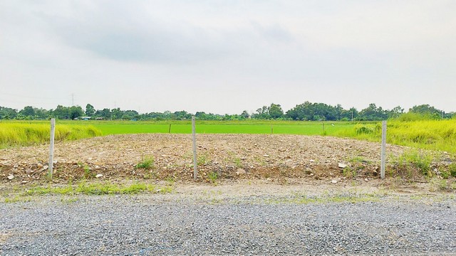 ขายที่ดิน ถมแล้ว 100 ตร.ว. คลอง 12 เหมาะสร้างบ้าน, สร้างโกดัง หรือสวนยามเกษียณ ใกล้ กทม.