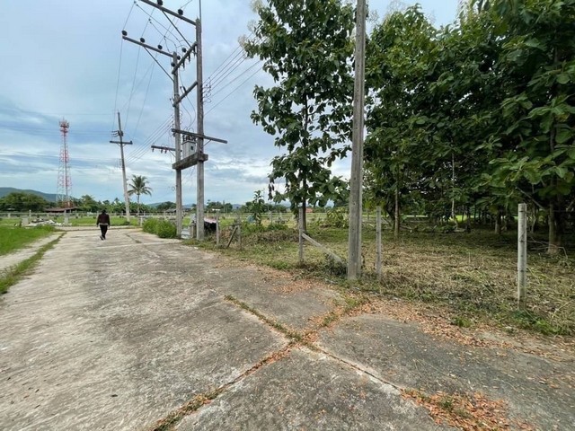 #ขายที่ดิน ต.หนองแหย่ง อ.สันทราย จังหวัดเชียงใหม่ 3 งาน 21 ตรว. 